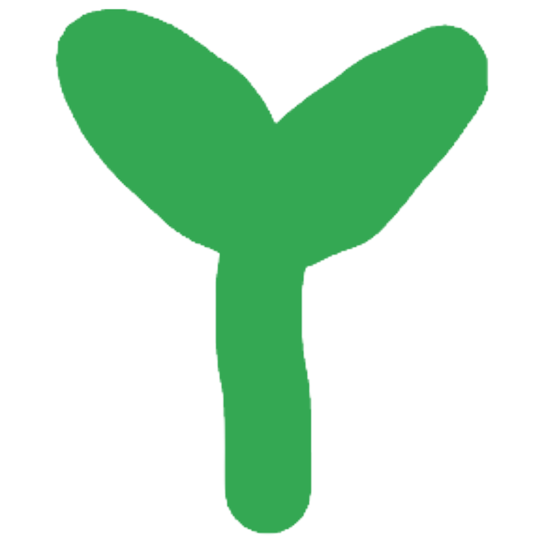 Baby Plant
